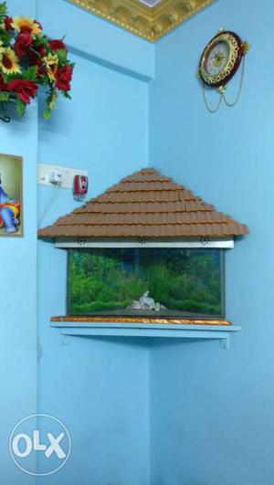 Corner piece fish tank for sell