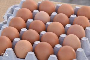 Country Chicken Brown Eggs for Rs.9