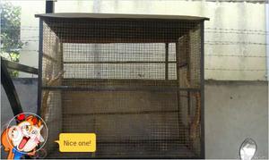 Dog cage sale 3ft x 5ft x 5 5ft height