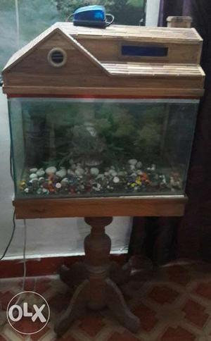 Fish Aquarium in top quality with stones and tree