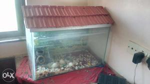 Fish Aquarium tank with Roof and lights