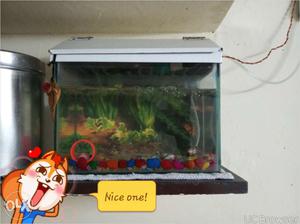 Fish Tank in good condition with cover