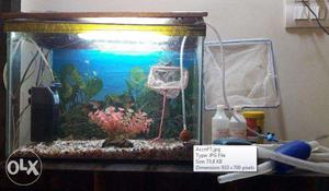 Fish Tank with all Accessories