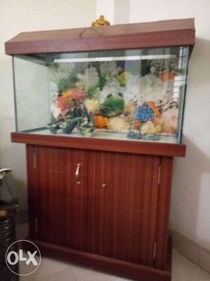 Fish aquarium with all accessories Heater Filter