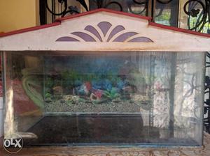 Fish aquarium with all accessories in a very good condition
