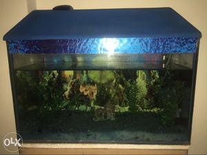 Fish aquarium with artificial plants,marbel,& Filter