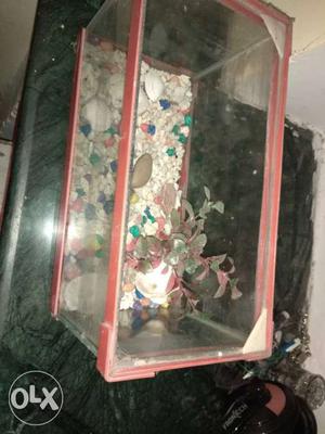 Fish tank with moter and stones