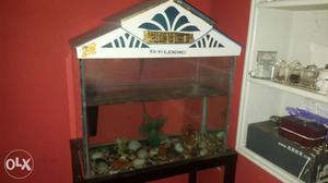 Full set of fish tank fish tank stand It's Time
