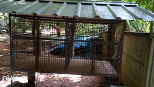 Kennel for dog big size there is division