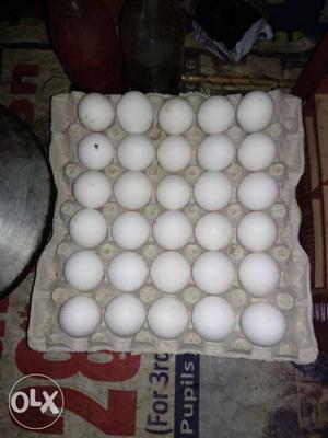 One Tray Of Eggs