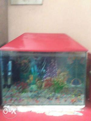 Red Frame Fish Tank