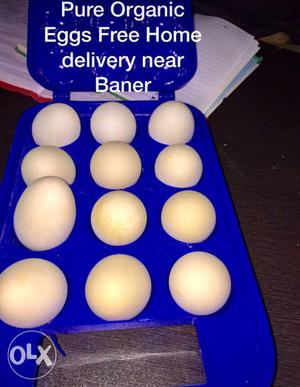 Twelve White Eggs