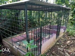 Urgent sale dog cage more details please contact