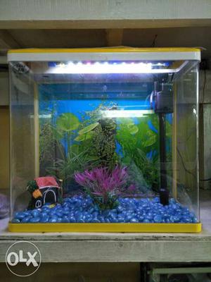 Yellow And White Frame Fish Tank