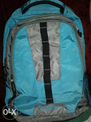 Gray And Blue Backpack