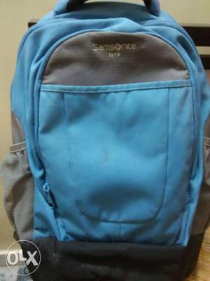 Gray And Blue Samsonice Backpack