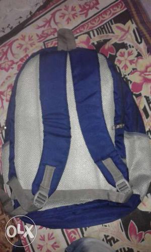 Silver And Blue Backpack