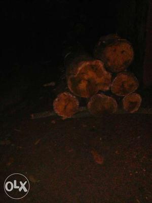 Tree Logs In Thodiyoor