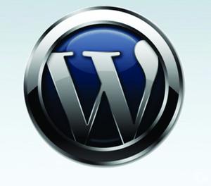 Wordpress Web Development Services New Delhi