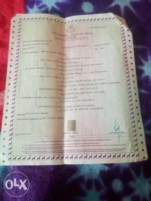 Certification Paper