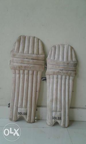 Cricket leg pad
