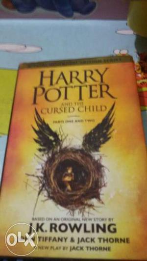 Harry Potter And The Cursed Child Novel