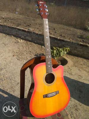 HertZ ShowRoom Condition Acoustic Guitar
