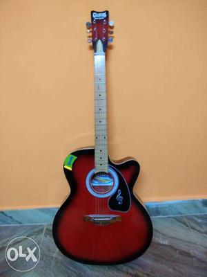 Imported Givson Brand New Guitar Bought just