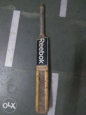 Original kashmir willow bat in good condition.