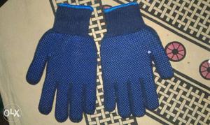 Pair Of Blue Gloves (Not used)