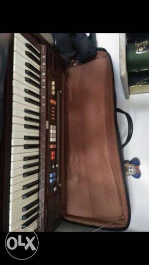 Casio Keyboard With Case