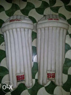 Cricket wicket keeping pads
