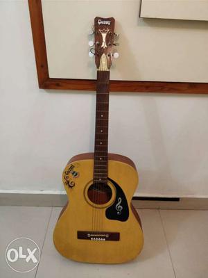 Givson acoustic guitar + Cover, 6 yrs old, in a