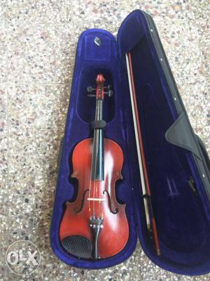 Old seasoned violin. Urgent sale.