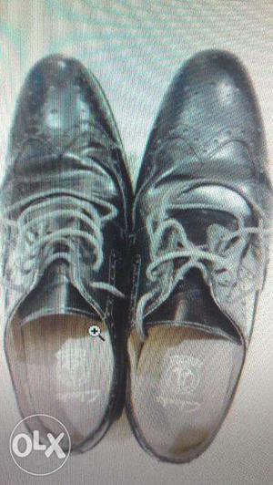 Clark Shoe