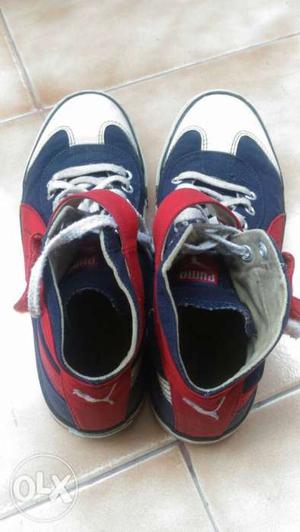 Kids shoes. Size 5. Used but in excellent