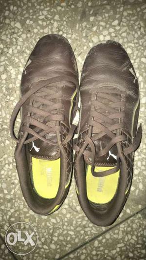 Pair Of Brown Puma Athetic Shoes - 9 number
