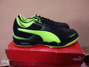 Price rs  size 8 puma brand new shoes