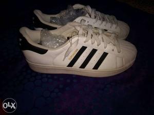 White And Black Adidas Superstar Sneaker
