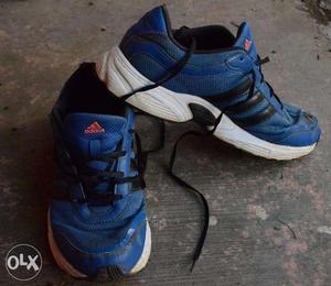 Adidas Blue Sports Shoes size:10