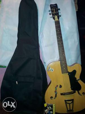 Brown And Black Electric Guitar With Bag