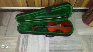 New Unused Violin for sale
