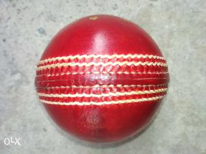 Red Cricket Leather ball a