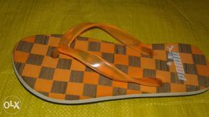 Hawaie chappal wholesale rate