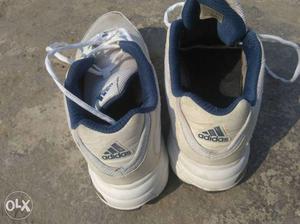 Pair Of Gray-and-blue Adidas Running Shoes size 9...fix rate