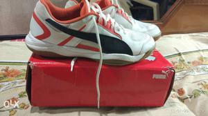 Puma veloz badminton shoes like new