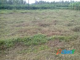 1 acre 36 cent residential plot located 2km from chalak
