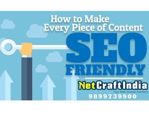 Seo friendly website design at Net Craft India Delhi