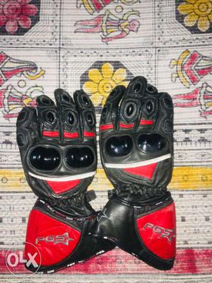Official PGS Biking and Racing Gloves
