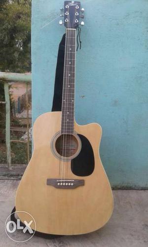 Pluto semiacoustic guitar (steel string)